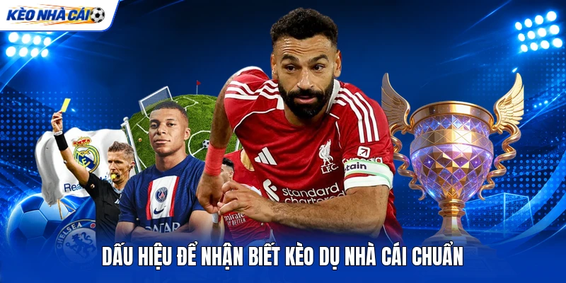 Dấu hiệu để nhận biết kèo dụ nhà cái chuẩn