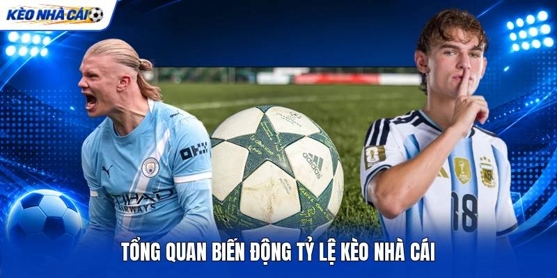 Tổng quan biến động tỷ lệ kèo nhà cái